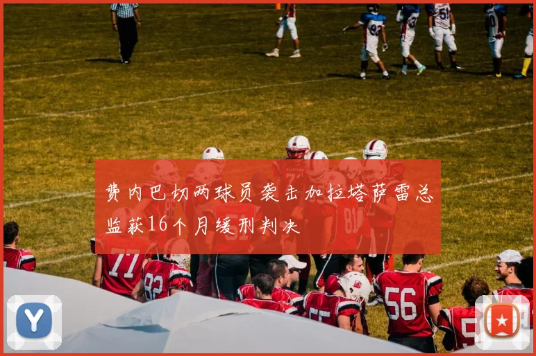 费内巴切两球员袭击加拉塔萨雷总监获16个月缓刑判决